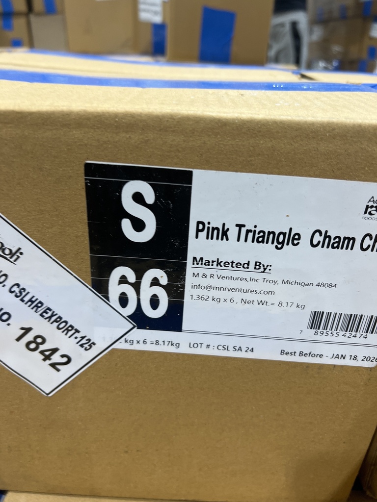 S66 VPK Pink Triangle Cham Cham