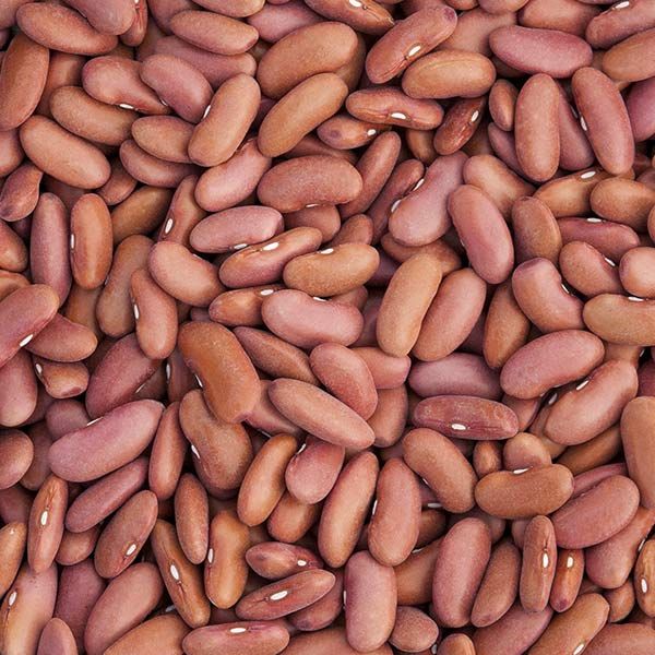 Light Kidney Beans