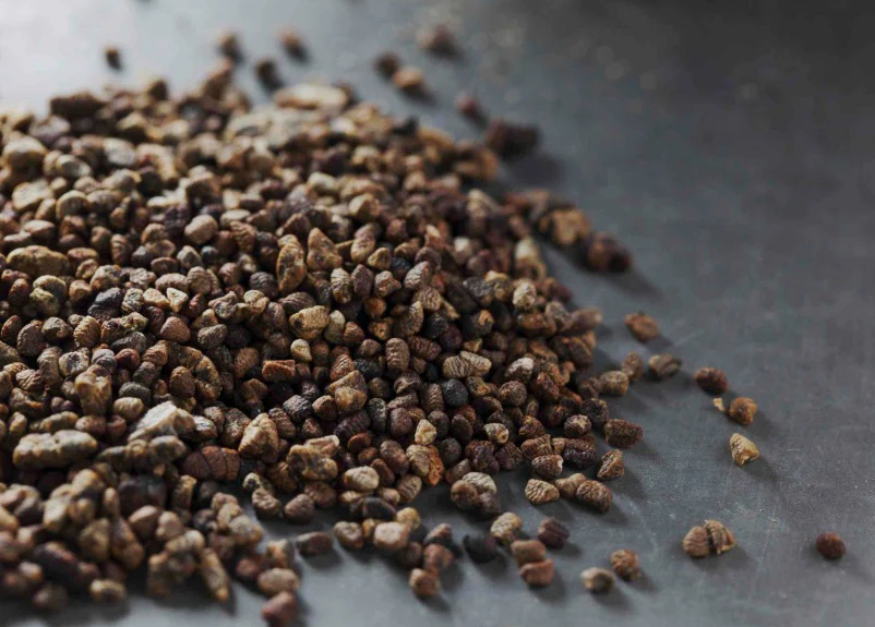 Cardamom Seeds (Elaichi)