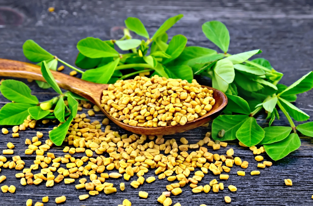 Fenugreek Seeds