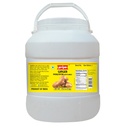 Ginger Pickle W/ Garlic