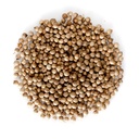 [DGNR:SPW:35013C7] - Coriander Seeds - [1lb]