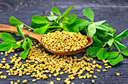 [DGNR:SPW:35013F3] - Fenugreek Seeds - [1lb]