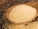 [DGNR:SPW:35013P1] - Poppy Seeds - [1lb]
