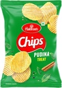[DHLD:CHP:40116P1] Pudina Treat