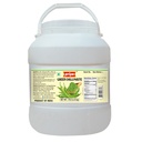 [DPRY:PST:67509G6] - Green Chilli Paste - [5kg]