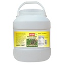 [DPRY:PST:67509G7] - Gongura Paste - [5kg]