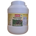 [DPRY:PST:67509G7] Gongura Paste